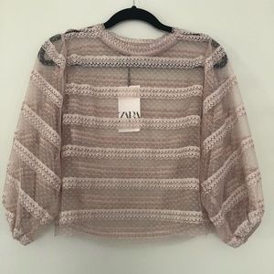 Zara - Ballet Pink Sheer Top